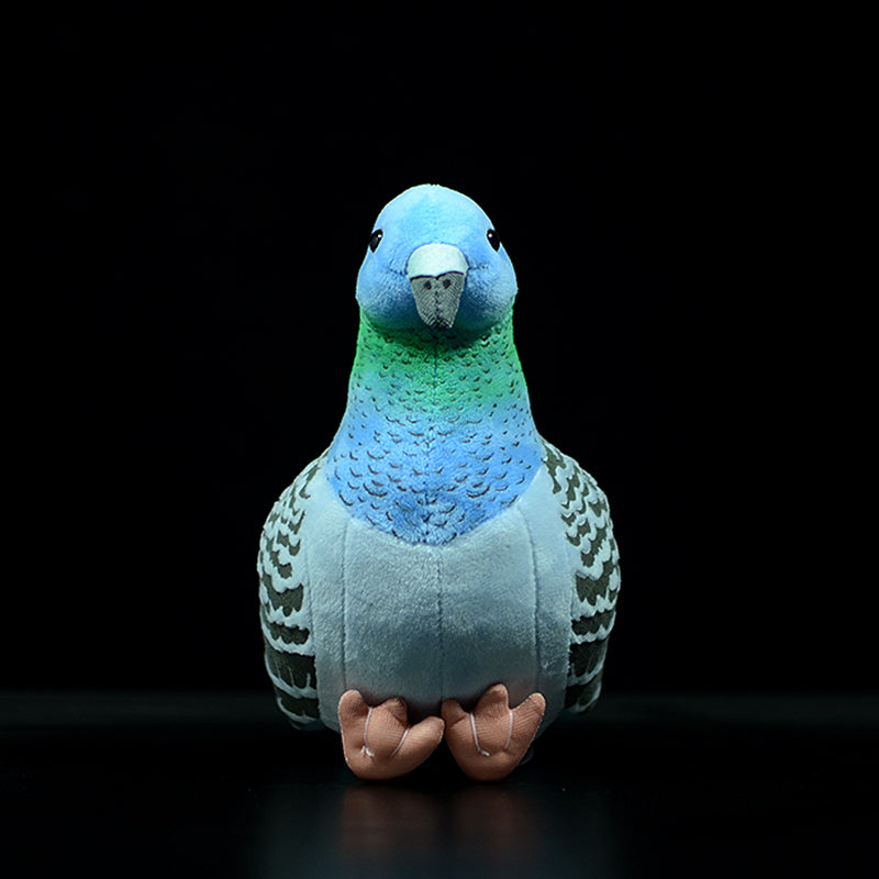 c6a17535385572b431c3c3c6038fc5d9